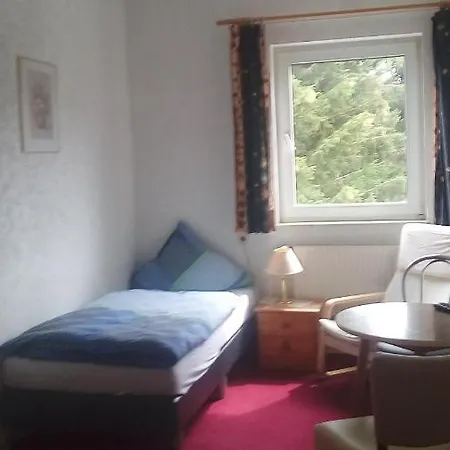 Hotel Haus Waldfrieden 3*