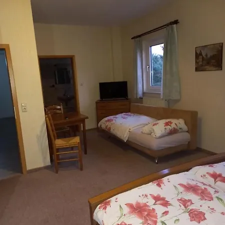Haus Waldfrieden 3* Medebach